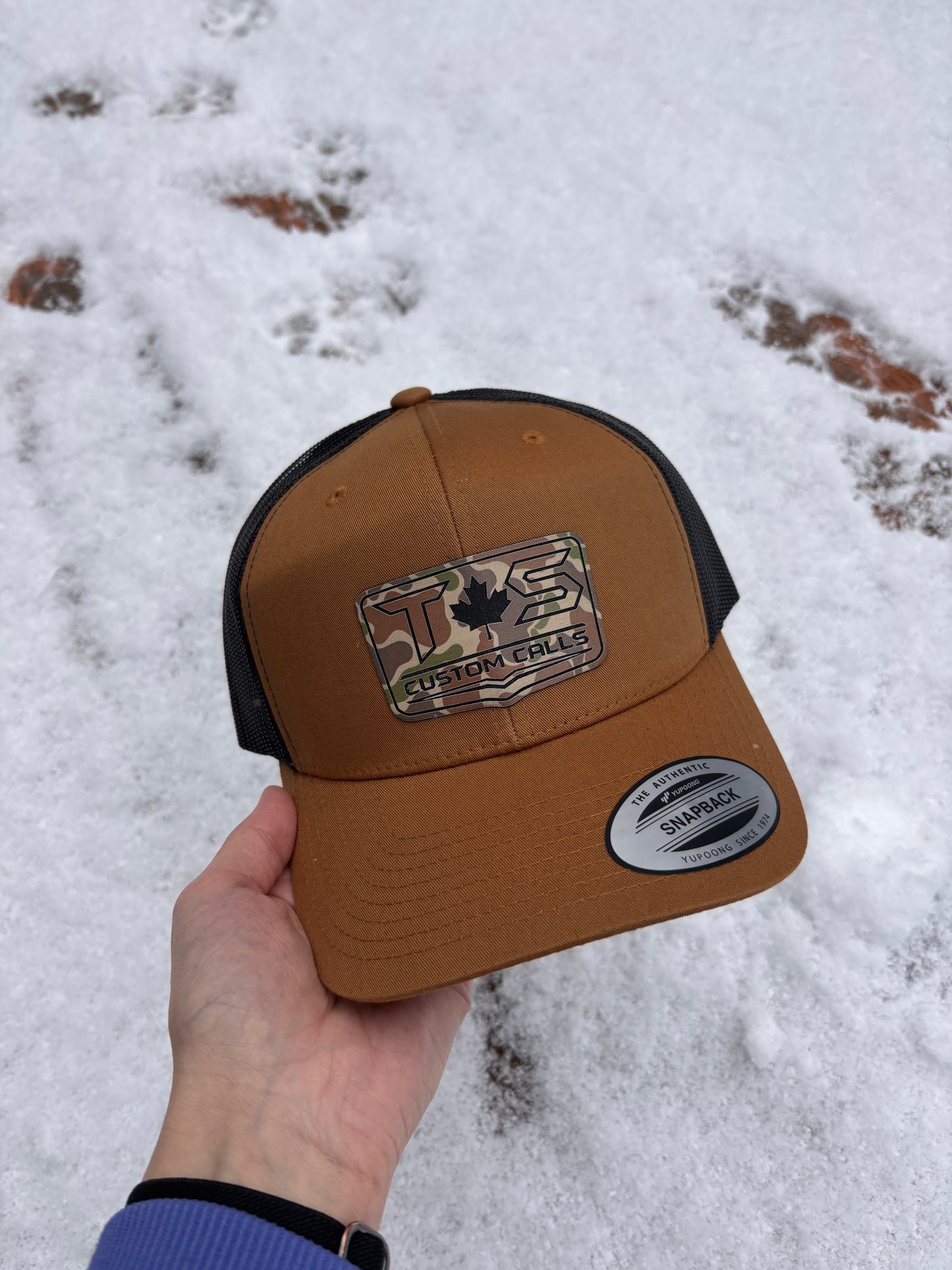 TS Logo Hat (Lrg Logo)